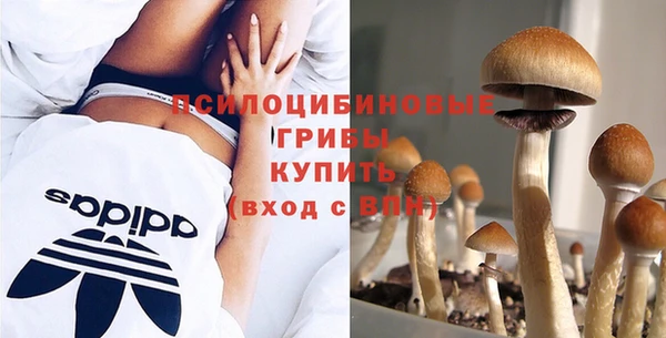 экстази Елабуга