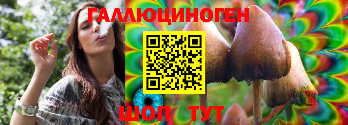 Псилоцибиновые грибы Magic Shrooms  Вход с VPN  Камень-на-Оби  Галлюциногенные грибы мухоморы 