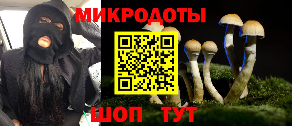 Галлюциногенные грибы Magic Shrooms Камень-на-Оби
