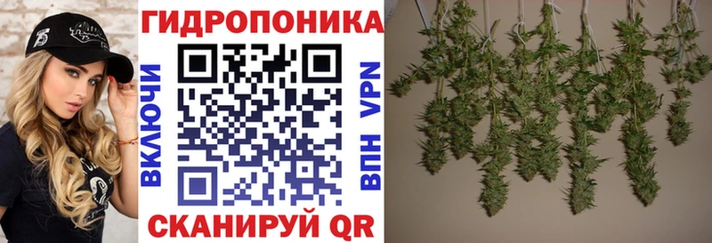 МАРИХУАНА VHQ  даркнет сайт  Камень-на-Оби 